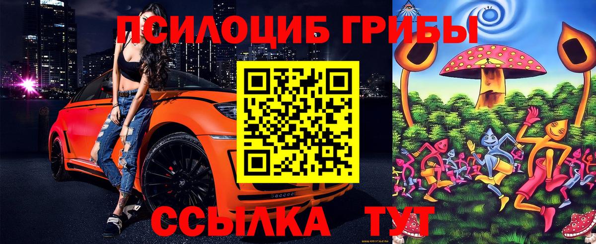 Псилоцибиновые грибы Cubensis Старая Купавна