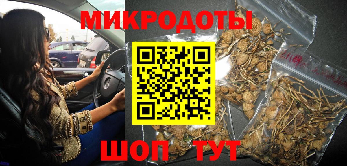 Старая Купавна  Псилоцибиновые грибы Magic Shrooms  Вход с VPN 